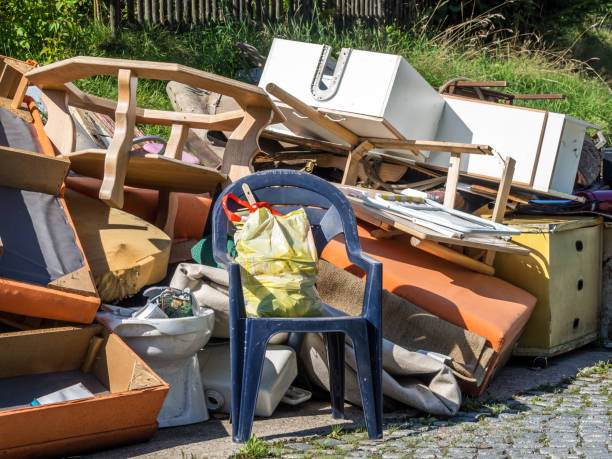 Best Appliance Removal Near Me  in Hamlin, WV